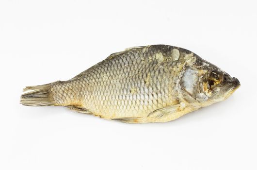 dried fish isolated on white background 