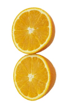 oranges on white background 