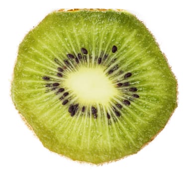 extreme macro kiwi 