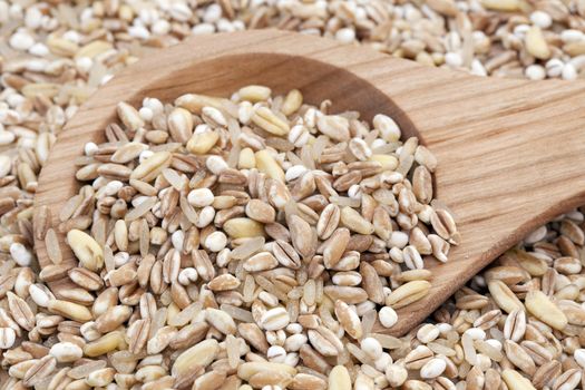 Mixed healthy grains with wooden spoon.