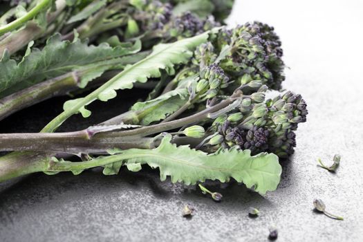 Purple long stemmed broccoli, raw on dark surface