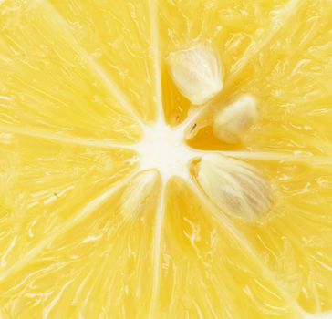 lemon . macro