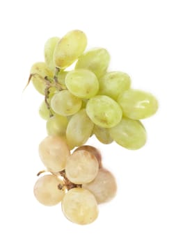 Fresh  grapes. Isolated on white 