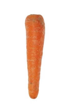 Fresh red carrot on white background 