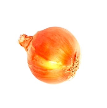 Ripe onion on a white background 