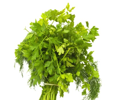 dill and parsley isolated on a white background 