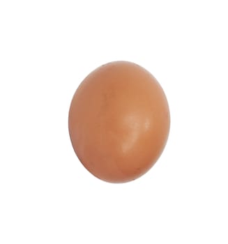 One egg on white background 