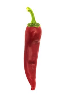 red chilly 
