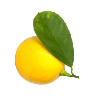 lemon