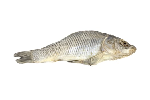 Dried fish allocated on a white background 