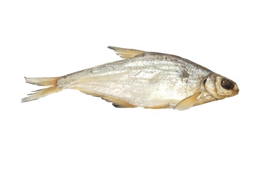 bream isolated on white background 