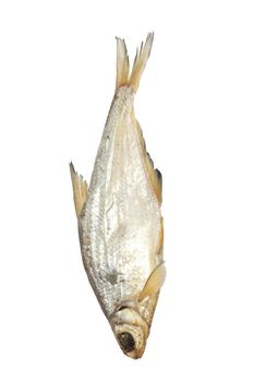 bream isolated on white background 
