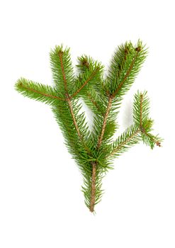 Christmas green framework isolated on white background 
