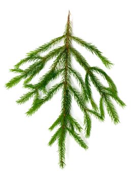 Christmas green framework isolated on white background 