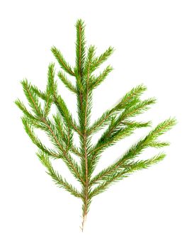 Christmas green framework isolated on white background 