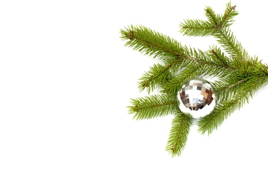 xmas tree ball hanging on a Christmas tree branch, isolated 