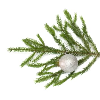 xmas tree ball hanging on a Christmas tree branch, isolated 