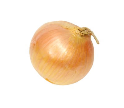 Ripe onion on a white background 
