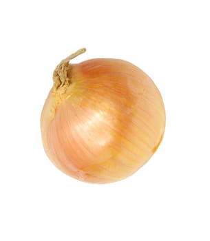 Ripe onion on a white background 