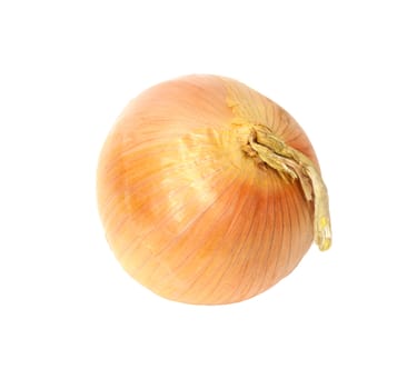 Ripe onion on a white background 