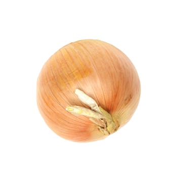 Ripe onion on a white background 