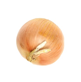 Ripe onion on a white background 