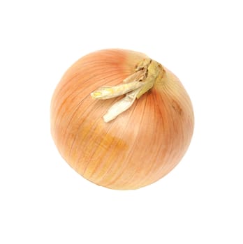 Ripe onion on a white background 