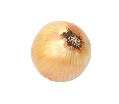 Ripe onion on a white background 