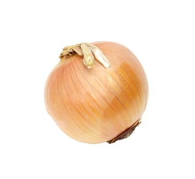 Ripe onion on a white background 