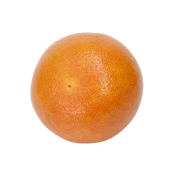 Grapefruit on a white background. 