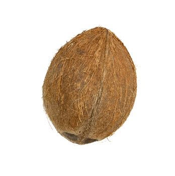 coconut isolated on white background 