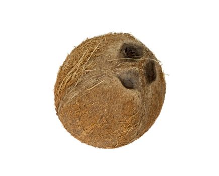 coconut isolated on white background 