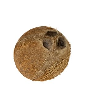 coconut isolated on white background 