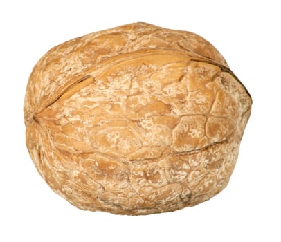 Walnut isolated on white background 