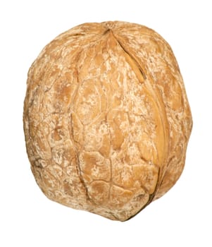 Walnut isolated on white background 