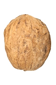Walnut isolated on white background 