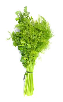 dill and parsley isolated on a white background 