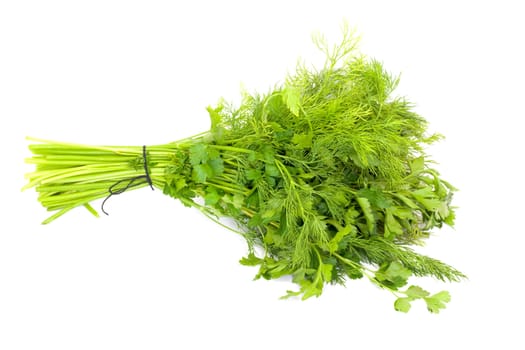 dill and parsley isolated on a white background 