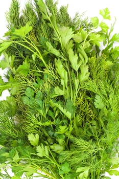 dill and parsley 