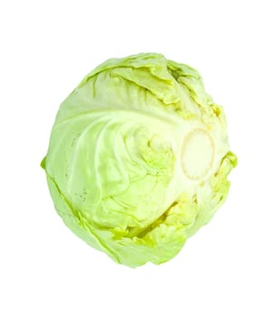 Green cabbage isolated on white background. 