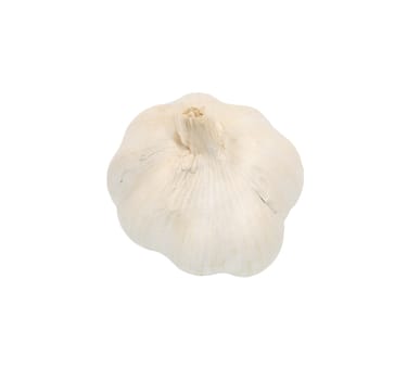 Garlic isolated on white background. 