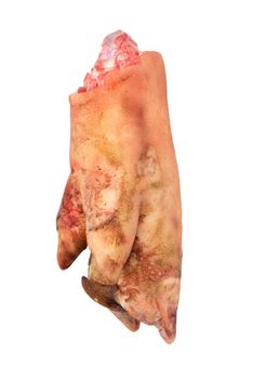 pork leg on white background 