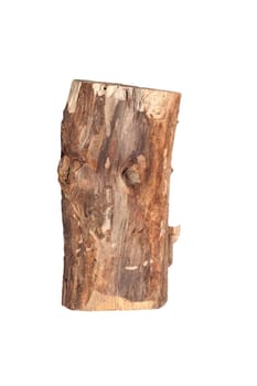 Birch logs isolated on the white background. 