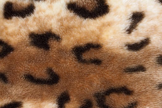 abstract texture of leopard skin 