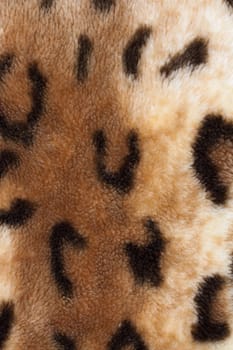 abstract texture of leopard skin 