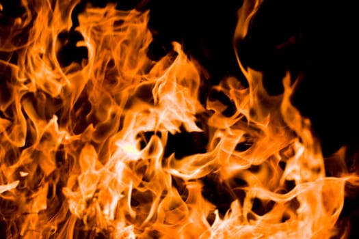 Orange flame burning on black background
