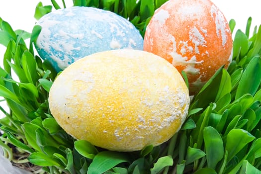 Colorful Easter eggs in grass