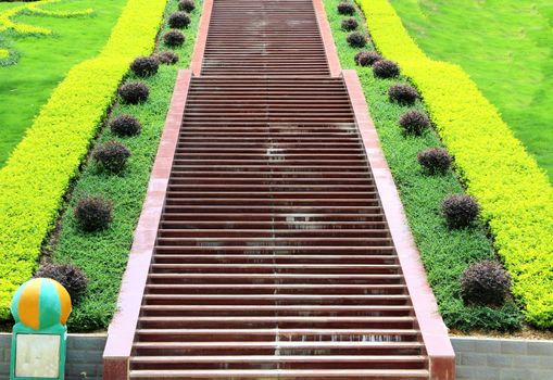 stairway with beautiful vegetation on both sides