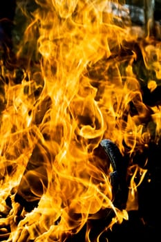 Orange flame burning on black background