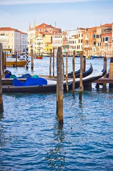 Venetian gondolas anchored on the Grand Canal, Venice